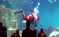 Ông già Noel bơi cùng… cá mập
