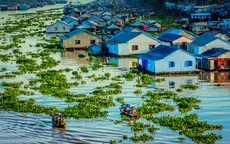 Làng nổi cá bè Châu Đốc - Vẻ đẹp vùng sông nước An Giang