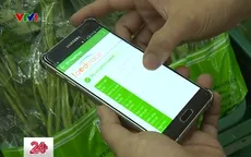 TP.HCM sẽ triển khai truy xuất nguồn gốc rau sạch
