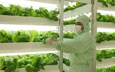 Tháo gỡ vướng mắc trong gói 100.000 tỷ đồng cho nông nghiệp công nghệ cao