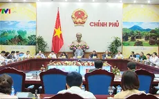 Đẩy mạnh sắp xếp lại các công ty nông, lâm nghiệp
