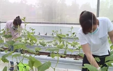 DN loay hoay với bộ tiêu chí xác định dự án nông nghiệp công nghệ cao