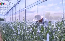Đã giải ngân hơn 32.000 tỷ gói tín dụng ưu đãi nông nghiệp