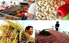 Nhiều thách thức trong xuất khẩu nông sản năm 2018