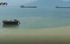Nước đổi màu bất thường ở vùng biển Thừa Thiên - Huế