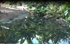 Người dân Đồng Tháp mang bệnh vì dòng kênh ô nhiễm