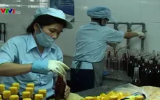 Lúng túng di dời các cơ sở sản xuất nước mắm ra khỏi khu dân cư