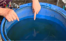 Nguy cơ dịch bệnh vì sử dụng nước giếng ở TP.HCM