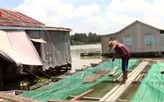 Hiệu quả mô hình nuôi cá lồng bè trên sông biên giới