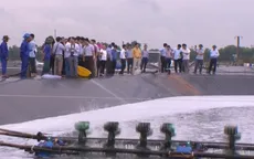 Nuôi tôm trên cát - Hướng đi phù hợp cho ngư dân miền Trung