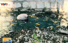 Người dân Khánh Hòa bức xúc vì phải sống chung với ô nhiễm