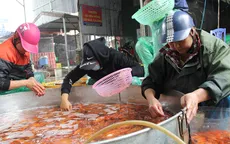 Sôi động chợ Tết phục vụ lễ cúng ông Công ông Táo