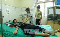 11 học sinh nhập viện do bị ong đốt