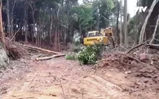 Lãnh đạo huyện Tĩnh Gia, Thanh Hóa: "Làm gì có chuyện phá rừng bừa bãi!"