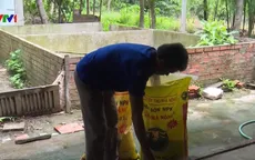 Hậu Giang: Người dân sử dụng phân bón nghi giả