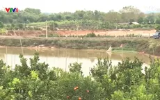 Sử dụng chất thải chăn nuôi làm phân bón hữu cơ