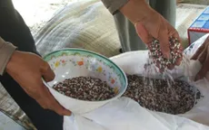 Địa phương sẽ chịu trách nhiệm về tình trạng phân bón kém chất lượng