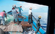 Hà Tĩnh: Hơn 1.000 tấn thủy sản cập cảng trong quý I