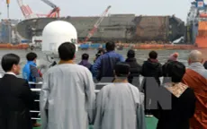 Hàn Quốc: Di hài được tìm thấy từ phà Sewol không phải của người