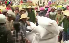 Bình Định cấp gạo cho người dân dịp Tết Nguyên đán