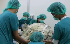 Phẫu thuật cho con rùa nuốt 5 kg đồng xu