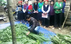 Thiếu biên chế cho 600 Phó Chủ tịch xã trẻ