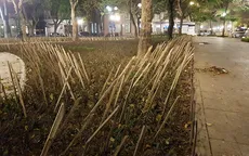 Tháo dỡ hàng rào chông tre ở vườn hoa Nhà hát lớn Hà Nội