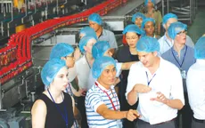 Thị trường NGK: Khi 1 doanh nghiệp nội cạnh tranh các doanh nghiệp ngoại