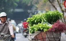 Dịu dàng tháng tư, loa kèn về ngang phố