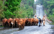 Đăk Lăk: Nỗ lực giảm tai nạn trên Quốc lộ 27