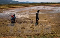 Lượng phù sa về ĐBSCL đang giảm mạnh