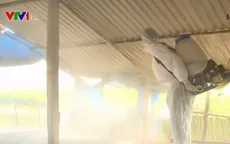 Xuất hiện thêm ổ dịch cúm gia cầm H5N1 tại Cao Bằng