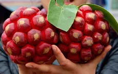 Na rừng có những công dụng gì mà đắt đỏ như vậy?