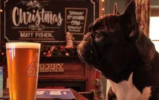 Fox & Hounds - Quán rượu thân thiện với chó nhất nước Anh