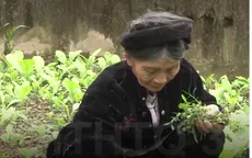 Đài PT-TH Quảng Trị: Cảm xúc vỡ òa khi lần đầu nhận giải Vàng thể loại Phim tài liệu tại LHTHTQ 37