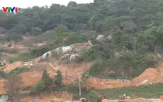 Đà Nẵng phải báo cáo có chấp nhận giữ nguyên trạng bán đảo Sơn Trà hay không