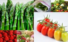 Công nghệ bảo quản rau sạch sau thu hoạch tại Mỹ