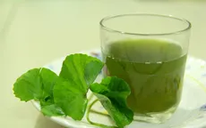 Rau má thanh nhiệt mùa nóng