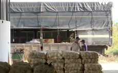 Rau Trung Quốc ồ ạt nhập vào Lâm Đồng