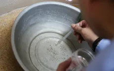 Bộ trưởng Bộ Y tế: Để tránh dịch sốt xuất huyết bùng phát, cơ bản nhất là diệt bọ gậy