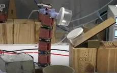 Robot chân không có hình dạng con sâu bướm