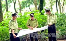 Tiết kiệm hơn 200 tỷ đồng kinh phí thực hiện điều tra, kiểm kê rừng toàn quốc