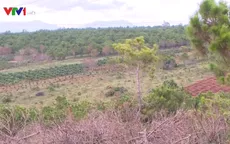 Những sai phạm nghiêm trọng tại Ban quản lý rừng Bắc Biển Hồ