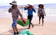 Ngư dân Quảng Trị được mùa ruốc biển