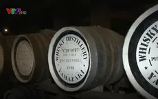Nghệ thuật nấu rượu whisky tại Nhật Bản