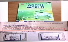 Sách giáo khoa ở Ấn Độ hướng dẫn giết chết mèo gây phẫn nộ