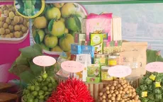 Khai mạc Festival Nông nghiệp - Ngư nghiệp năm 2017
