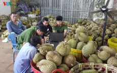 Phát hiện cơ sở tẩm hóa chất vào sầu riêng tại Gia Lai