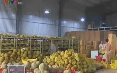 Phát hiện hàng chục tấn sầu riêng ngâm hóa chất