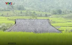 Lạc bước trước cảnh sắc tươi đẹp của Sìn Hồ